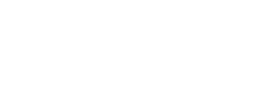 트랜스링크 로고